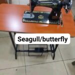 Complete seagull butterfly