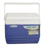 Pinnacle Cooler Box 4.5L